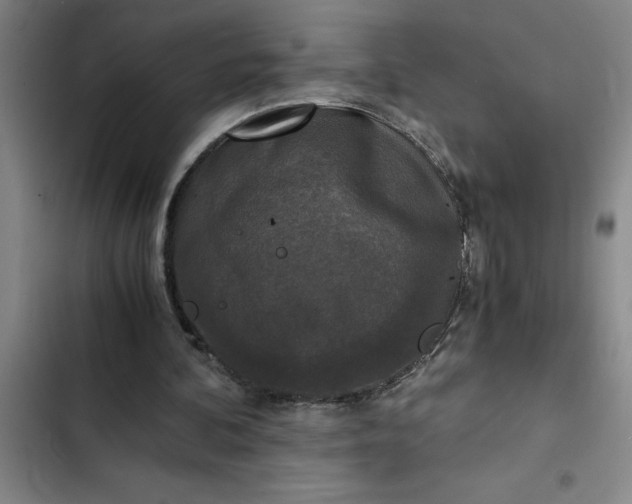 X0000102480292200808221714