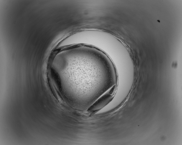 X0000102480293200808221714