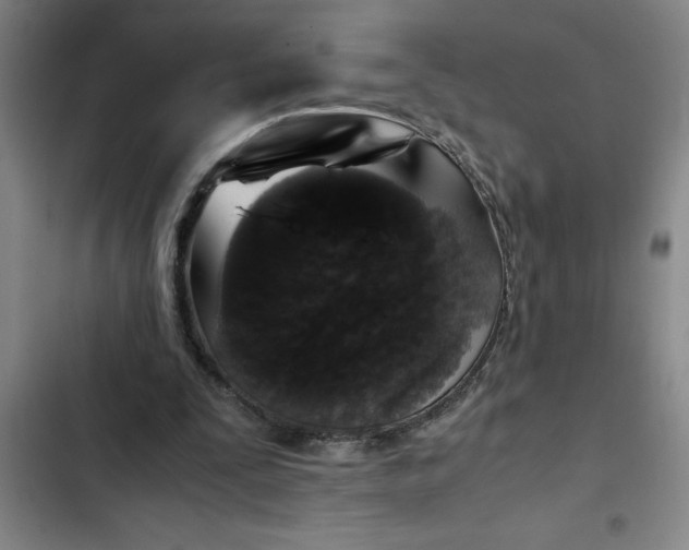 X0000102480295200808221713