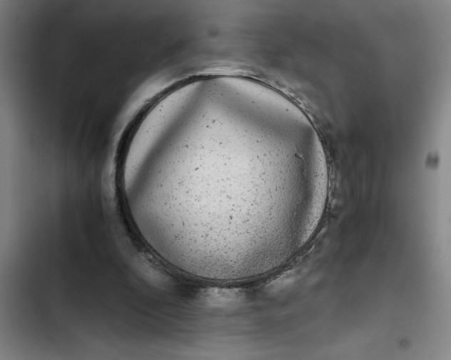 X0000102480296200808221713