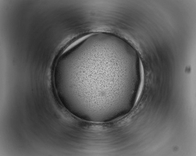 X0000102480298200808221713