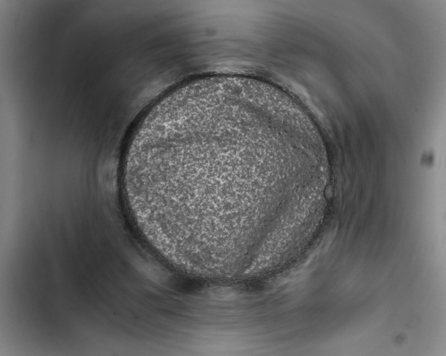 X0000102480299200808221713