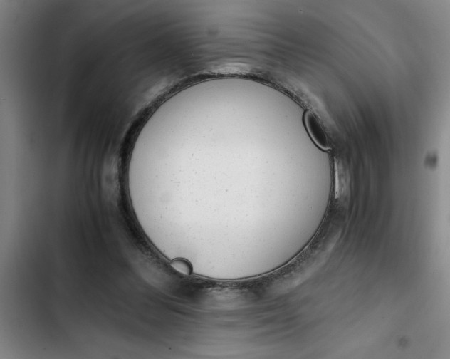 X0000102480300200808221713