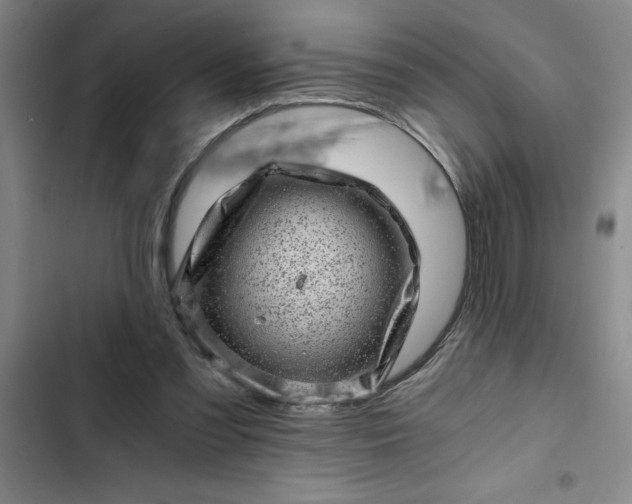 X0000102480301200808221713