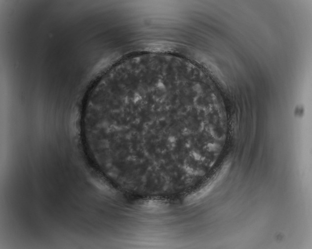 X0000102480303200808221713