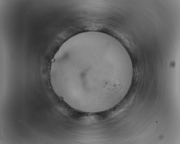 X0000102480307200808221713