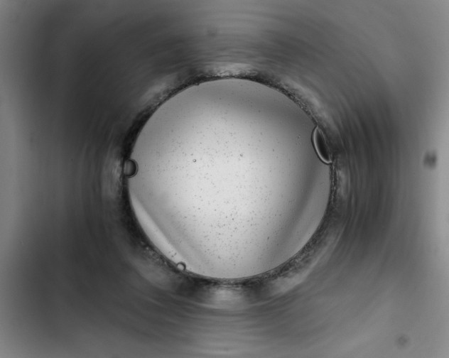 X0000102480308200808221713