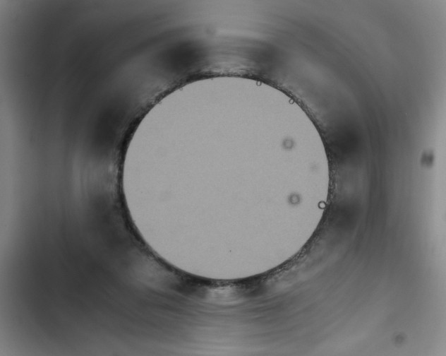 X0000102480309200808221713