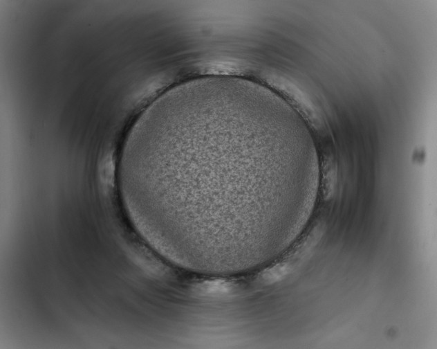 X0000102480310200808221713