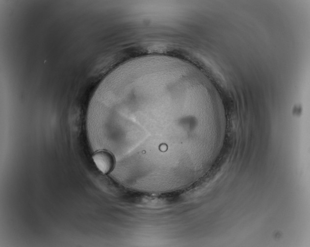 X0000102480311200808221713