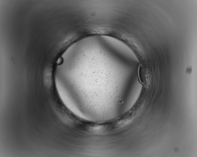 X0000102480312200808221713