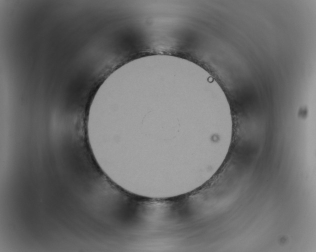 X0000102480313200808221713