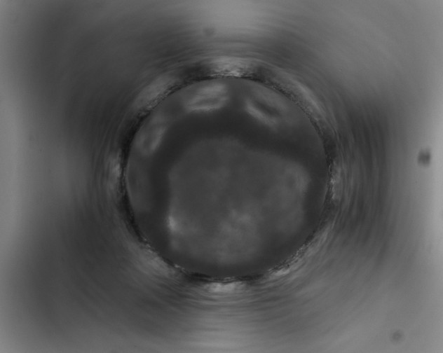 X0000102480314200808221713