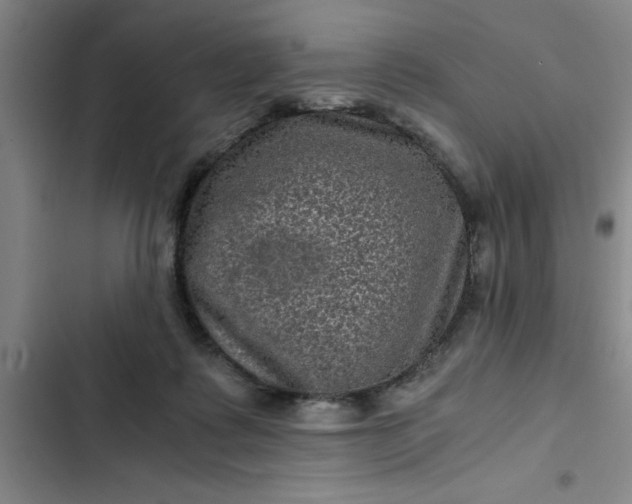 X0000102480315200808221713