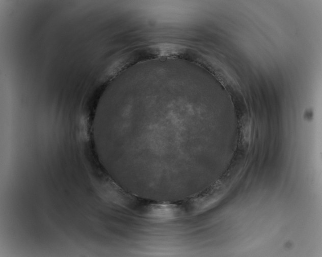 X0000102480316200808221713