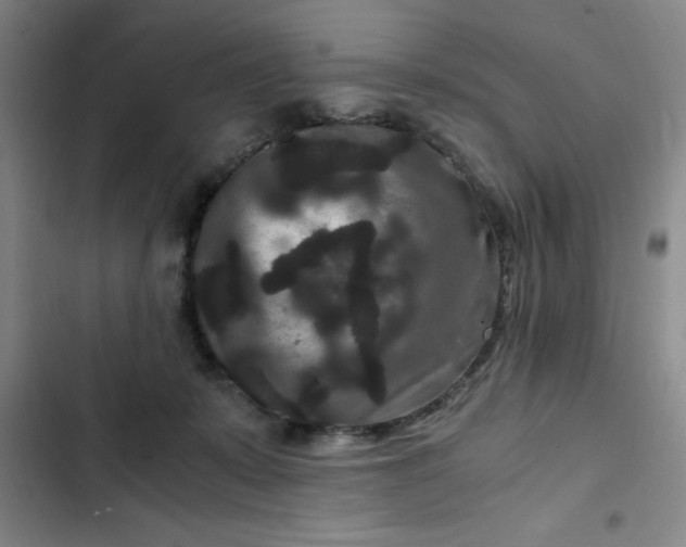 X0000102480319200808221713