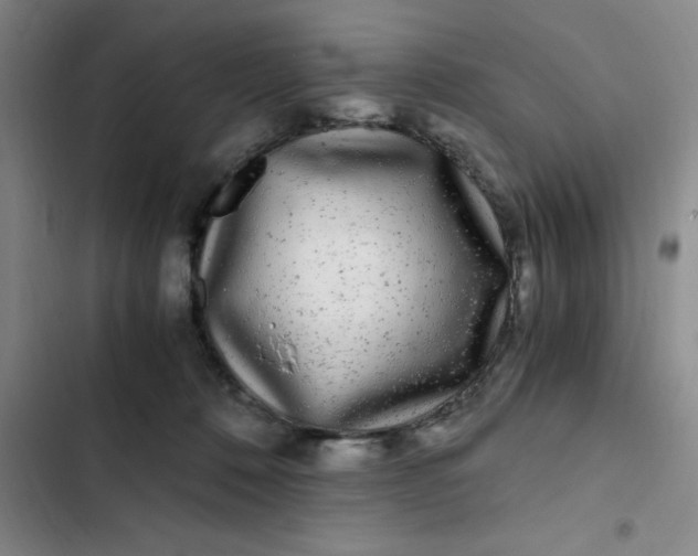 X0000102480320200808221713