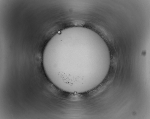 X0000102480321200808221713