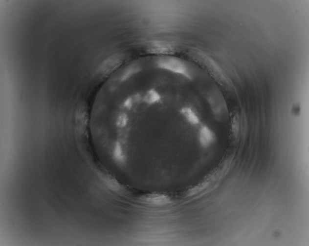 X0000102480322200808221713