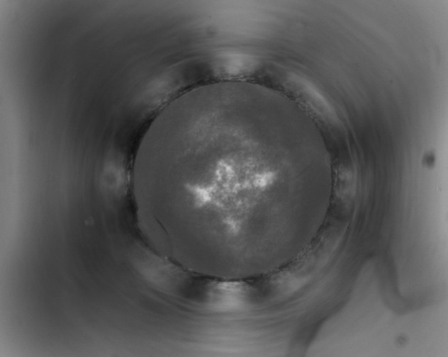 X0000102480324200808221713