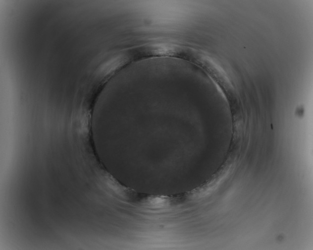 X0000102480325200808221713