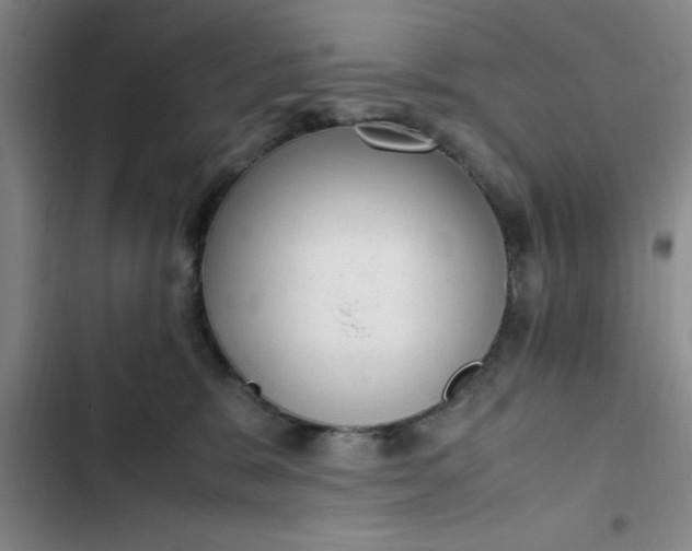 X0000102480327200808221713