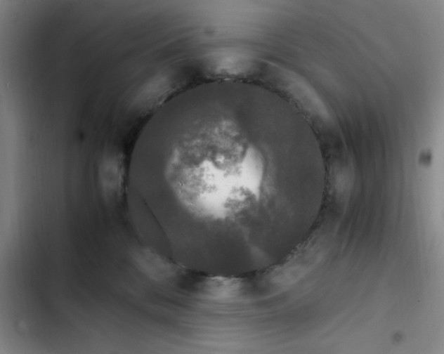 X0000102480328200808221713