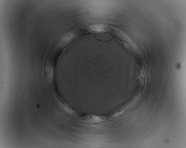 X0000102480330200808221713