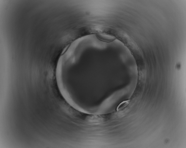 X0000102480331200808221713