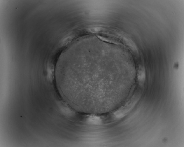 X0000102480332200808221713