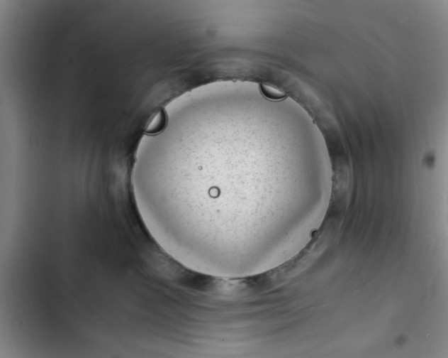 X0000102480333200808221713