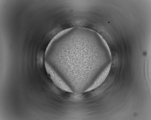 X0000102480334200808221713