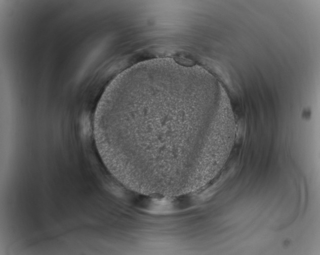 X0000102480335200808221713