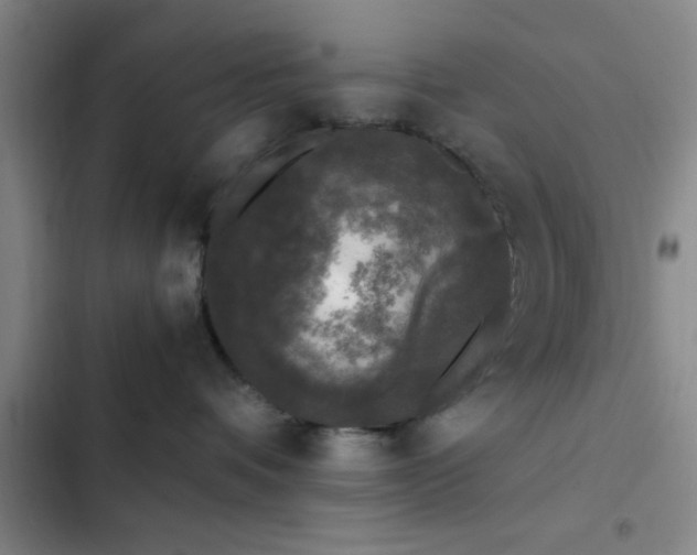 X0000102480336200808221713