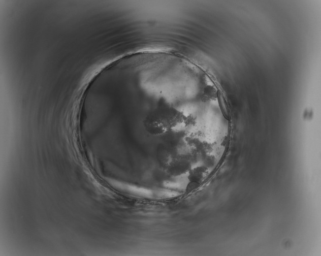 X0000102480337200808221712