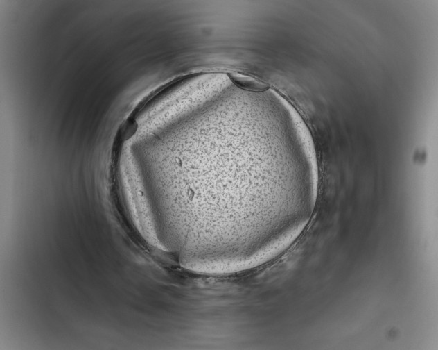 X0000102480338200808221712