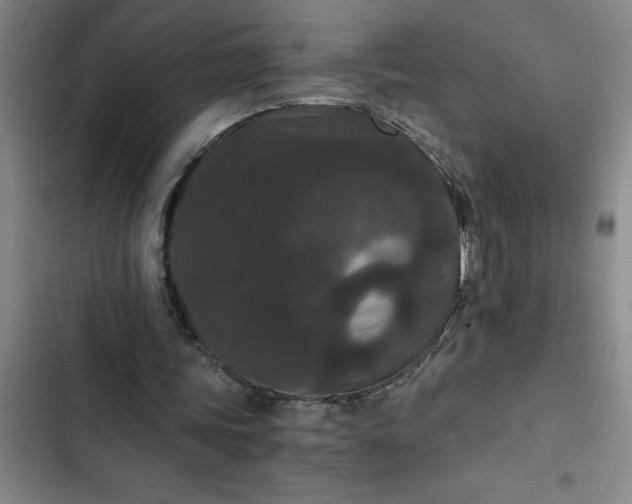 X0000102480339200808221712