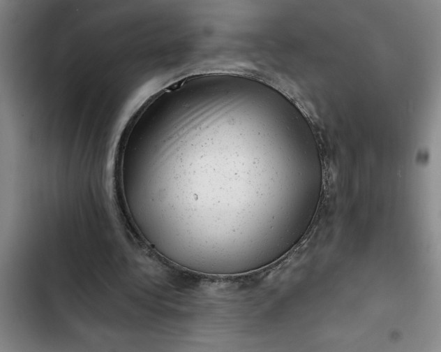 X0000102480340200808221712