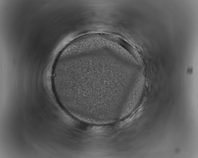 X0000102480341200808221712