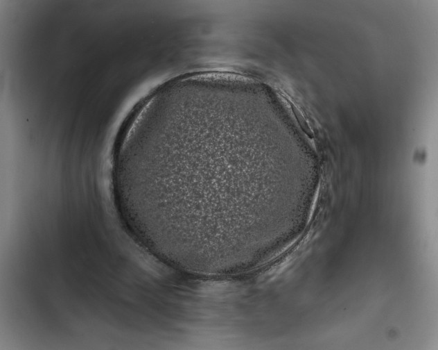 X0000102480342200808221712