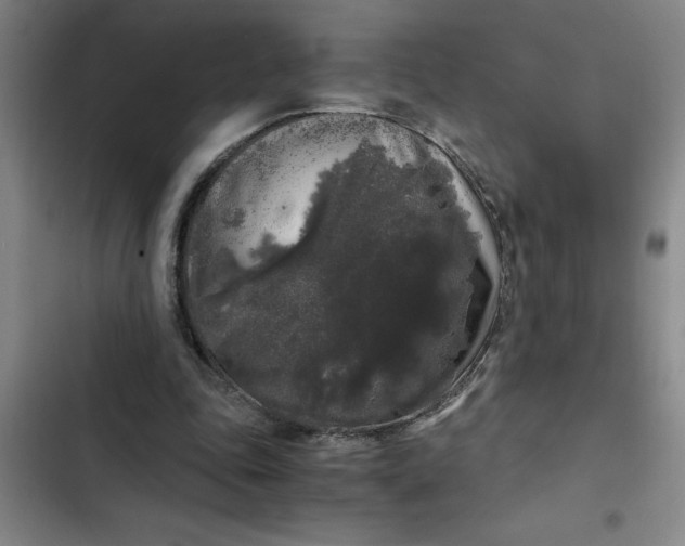 X0000102480343200808221712