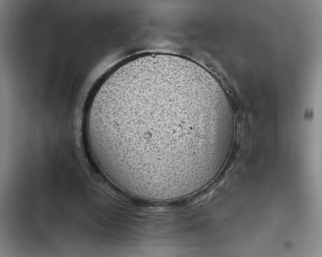 X0000102480344200808221712