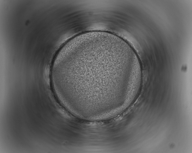 X0000102480345200808221712