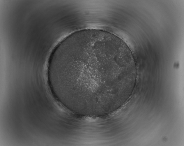 X0000102480346200808221712