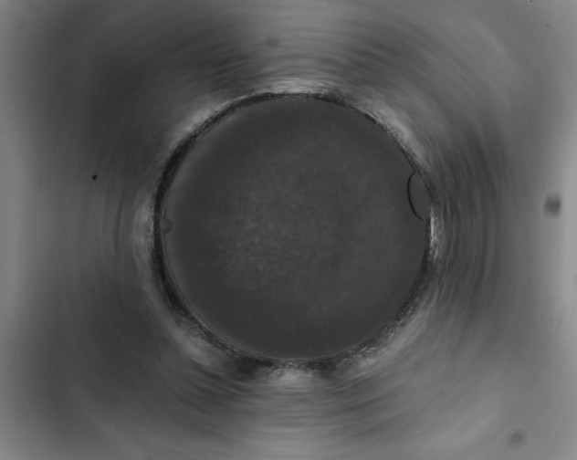 X0000102480348200808221712