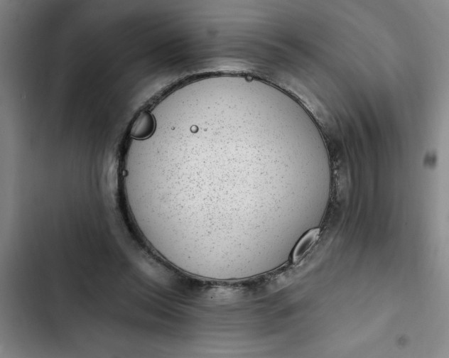 X0000102480350200808221712