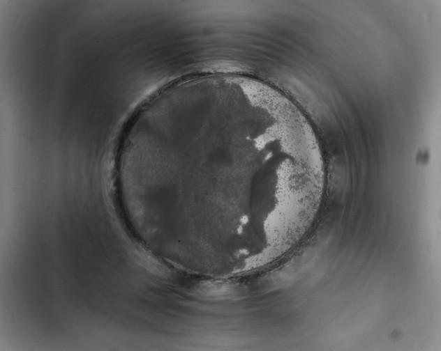 X0000102480351200808221712