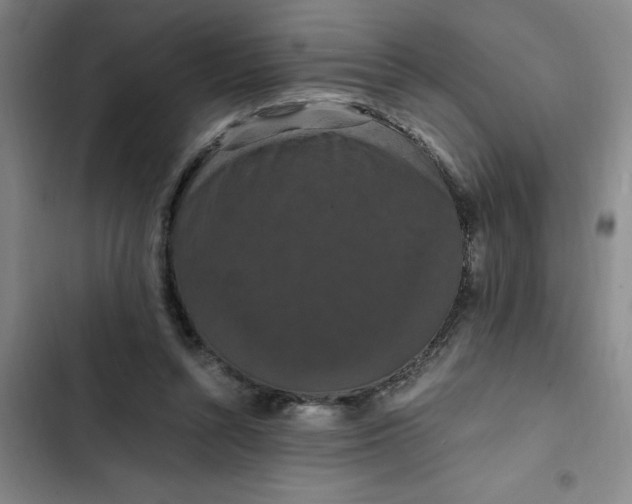 X0000102480352200808221712