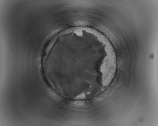 X0000102480353200808221712