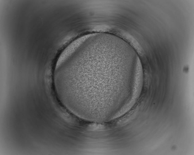 X0000102480354200808221712